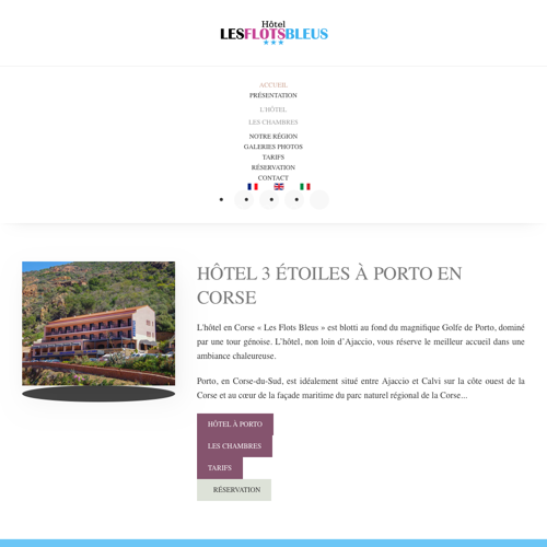 Aperçu du site