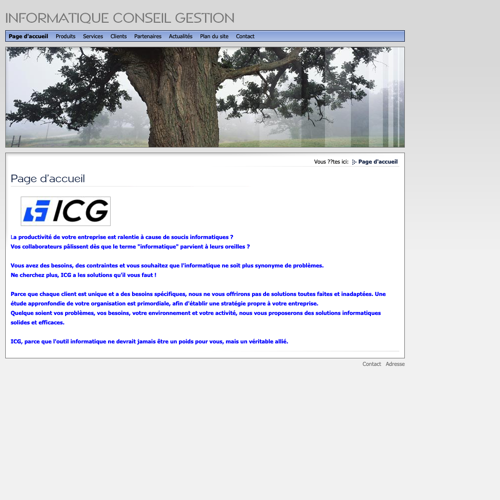 Aperçu du site