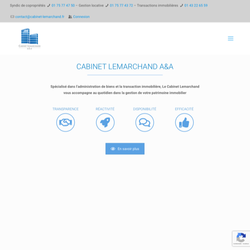 Aperçu du site