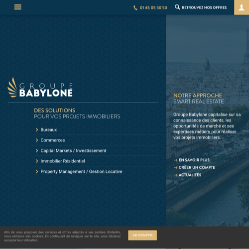 Aperçu du site
