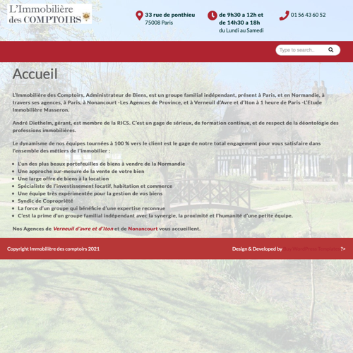 Aperçu du site