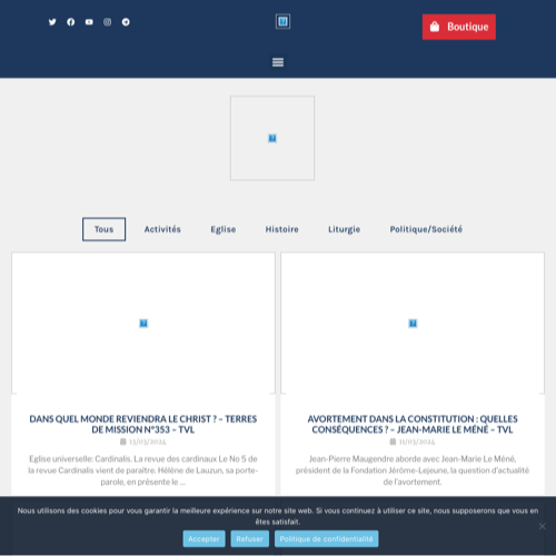 Aperçu du site