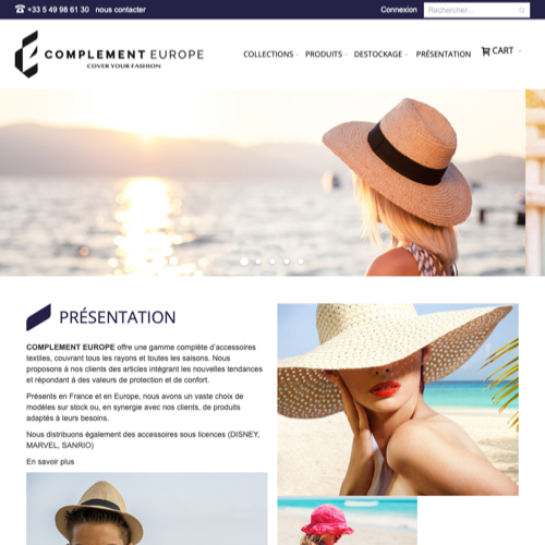 Aperçu du site