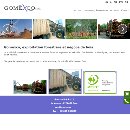 Aperçu du site